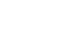 Coursier Lyon 8