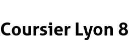 Coursier Lyon 8